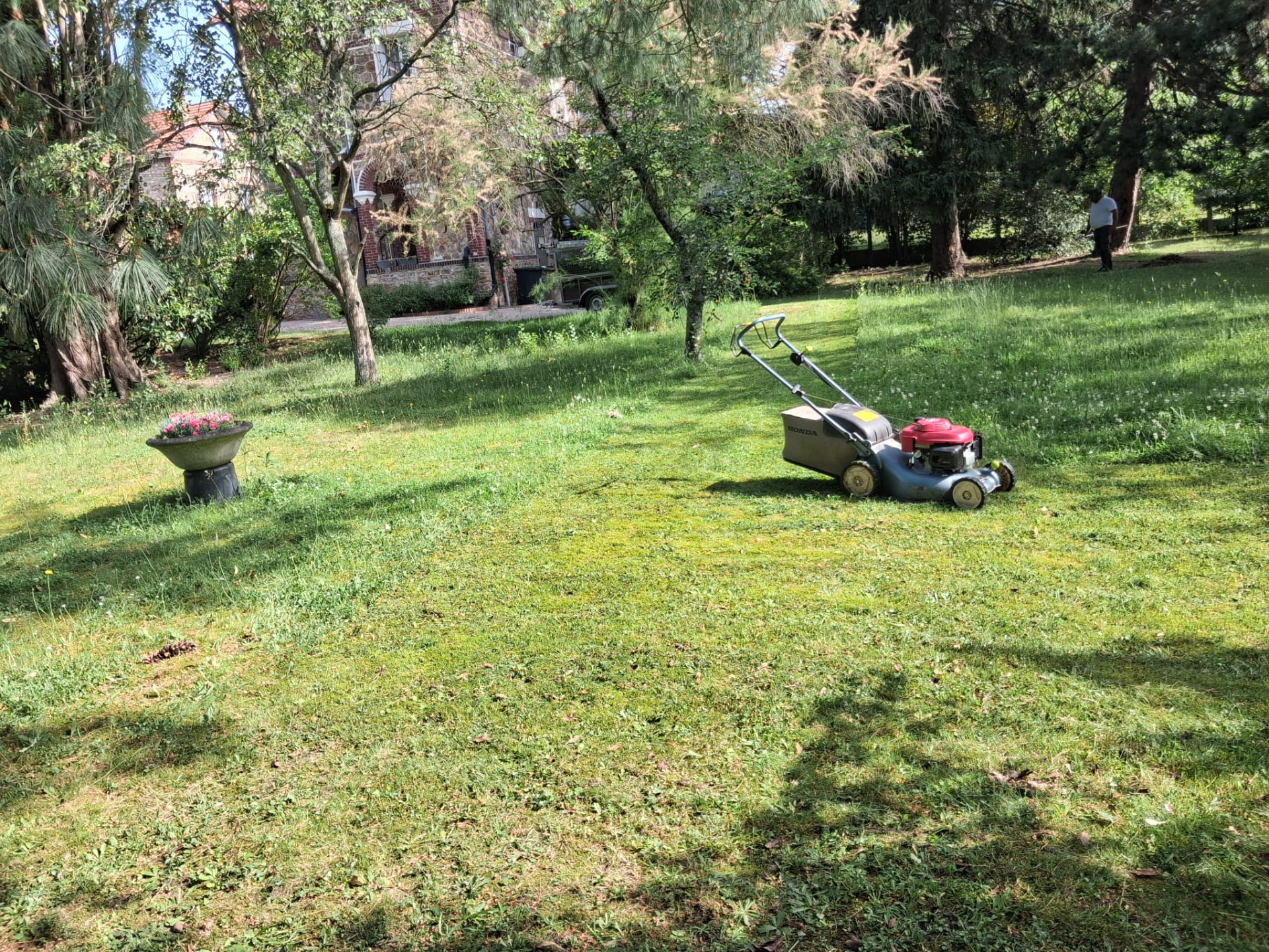 Tonte et entretien d'un jardin arboré